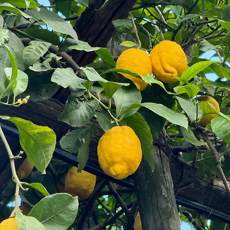 Appartamento La Casa Di Nina *